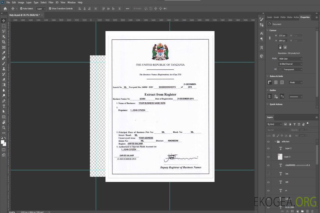 TANZANIE Enregistrement des entreprises version 2 template